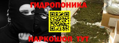 дмт Аргун