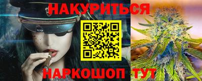 дмт Аргун