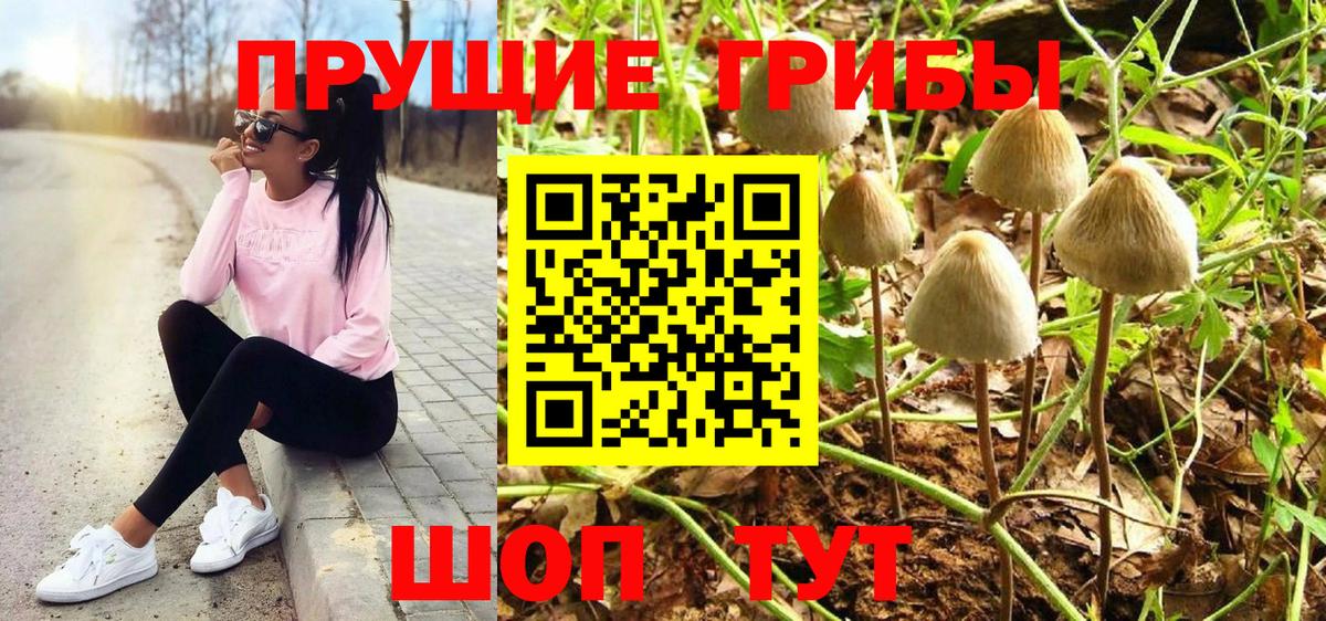 купить закладку  Вход с VPN  Воронеж  Псилоцибиновые грибы Cubensis 
